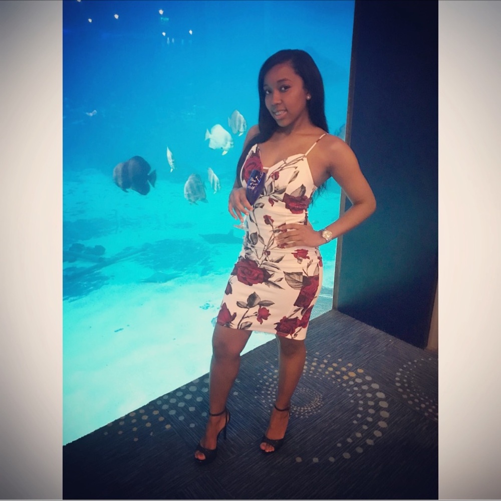 Brunch Soree Dress